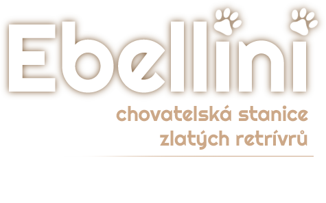Chovatelská stanice zlatých retrívrů.
